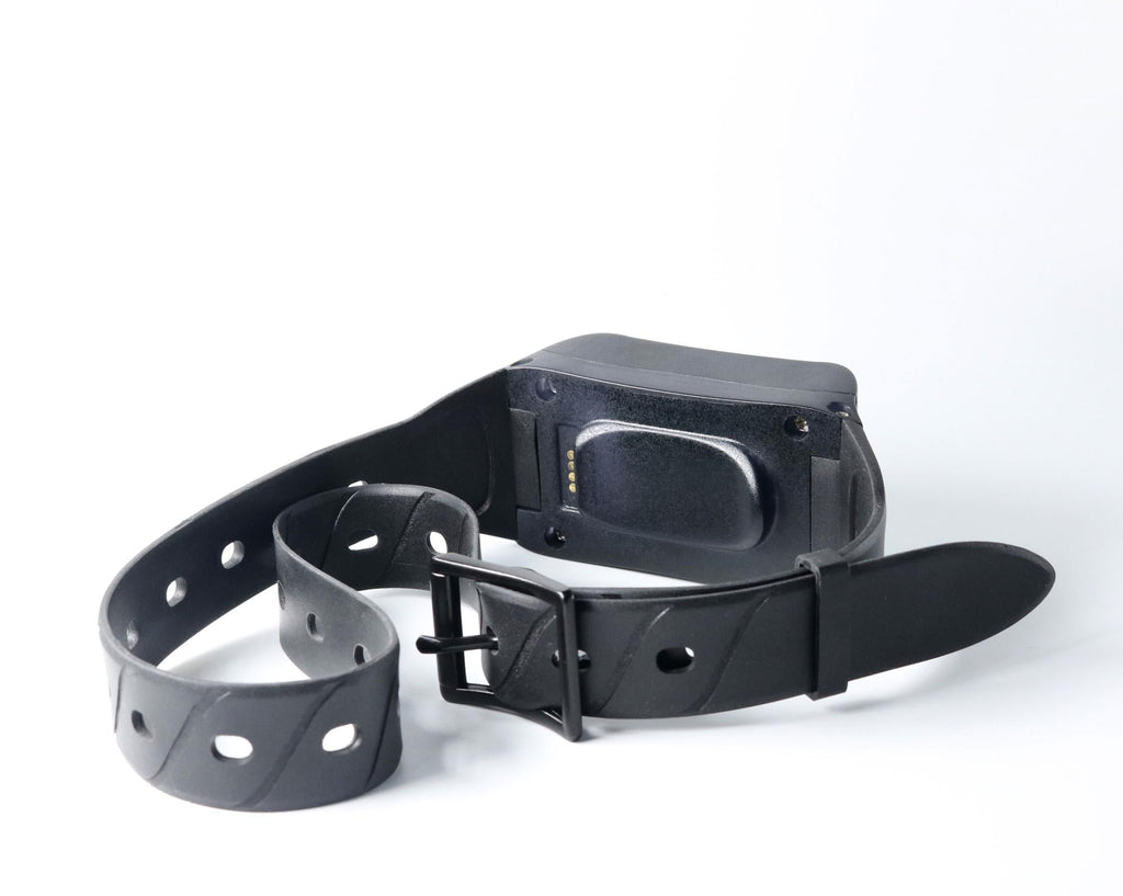 Pet Dog GPS Tracker in Neck Collar 4G LTE 14 Day Battery GEO Fence Alarm Notification Waterproof