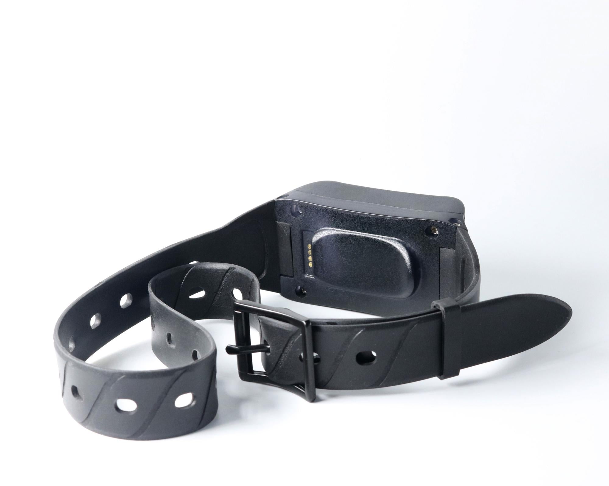 Pet Dog GPS Tracker in Neck Collar 4G LTE 14 Day Battery GEO Fence Alarm Notification Waterproof