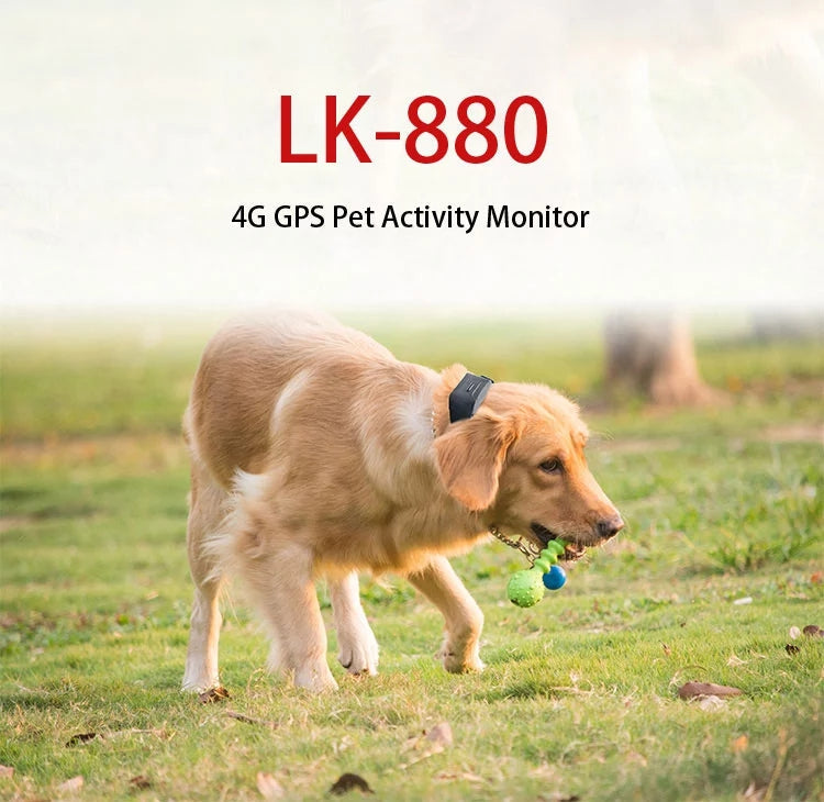 Pet Dog GPS Tracker in Neck Collar 4G LTE 14 Day Battery GEO Fence Alarm Notification Waterproof