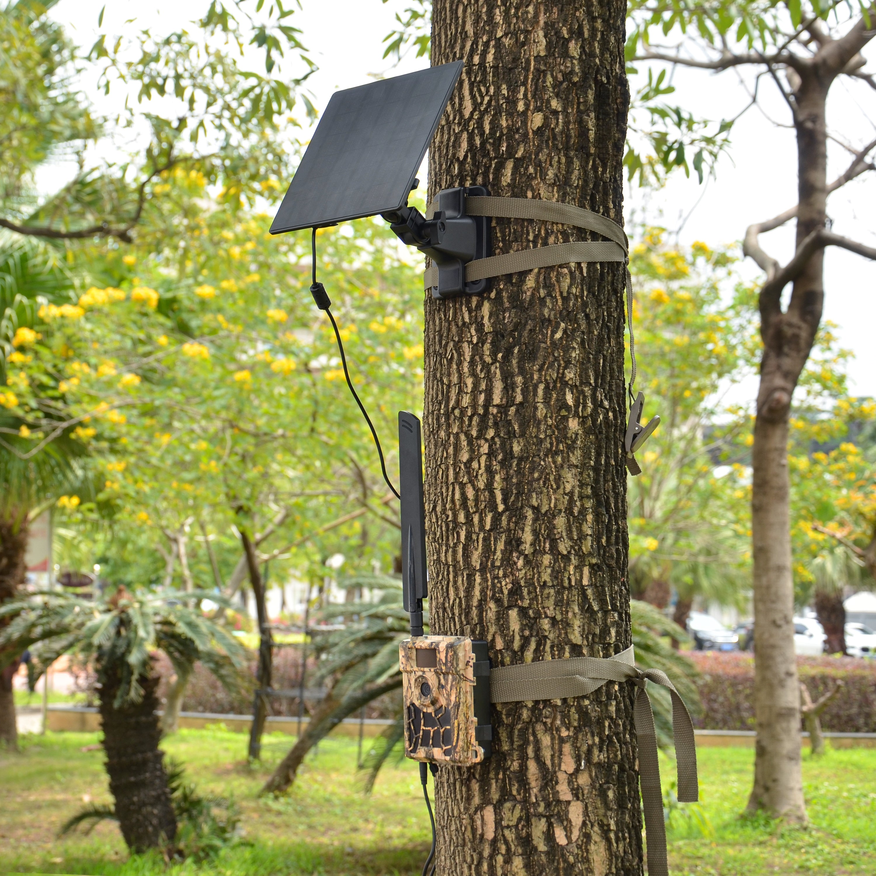 SP200 12V Battery 5W Solar Panel Charger 2x 5000mAh Rechargeable Li-ion Dual 6v/12v Output