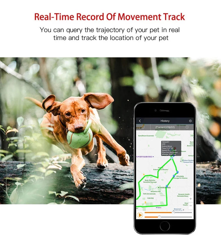 Pet Dog GPS Tracker in Neck Collar 4G LTE 14 Day Battery GEO Fence Alarm Notification Waterproof