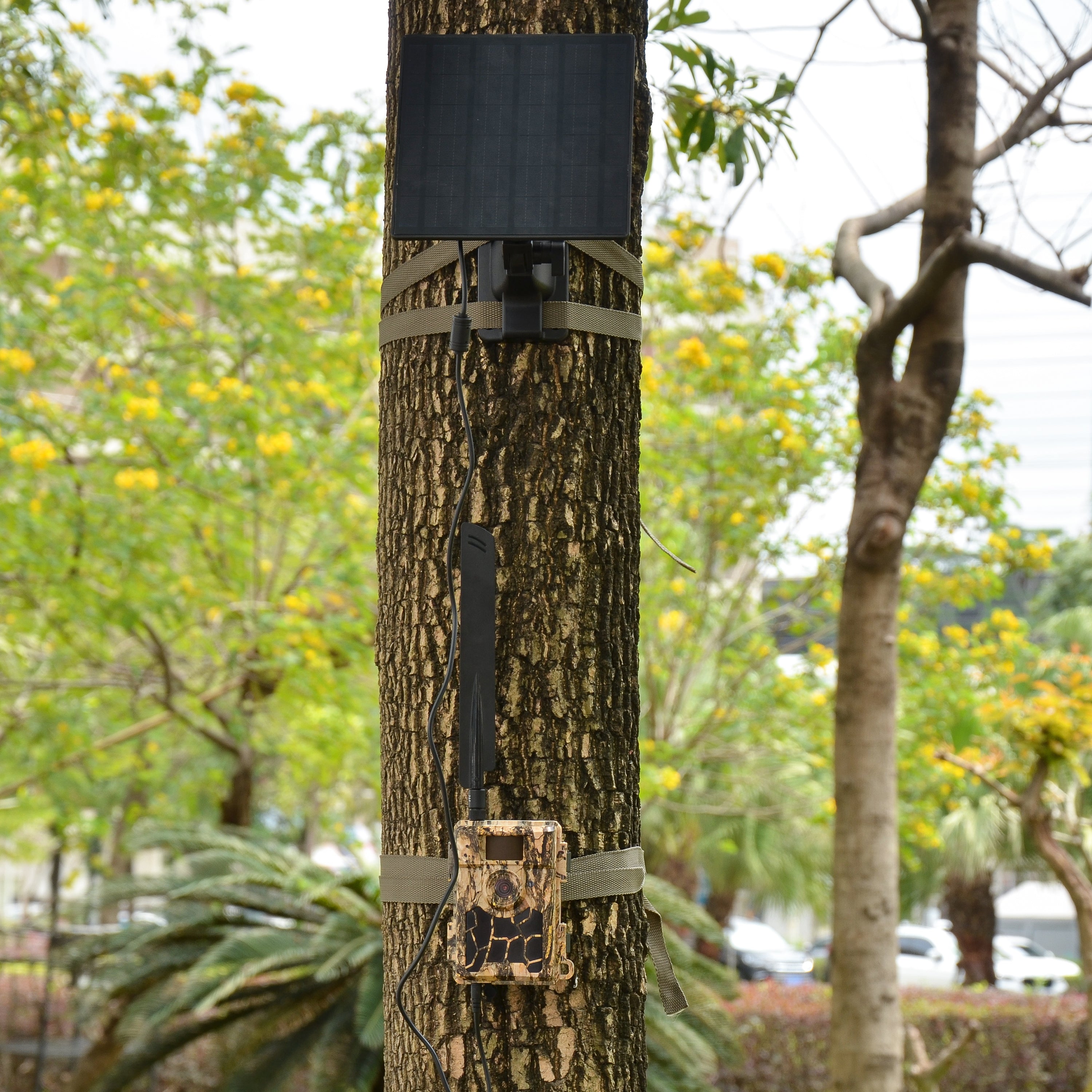 SP200 12V Battery 5W Solar Panel Charger 2x 5000mAh Rechargeable Li-ion Dual 6v/12v Output