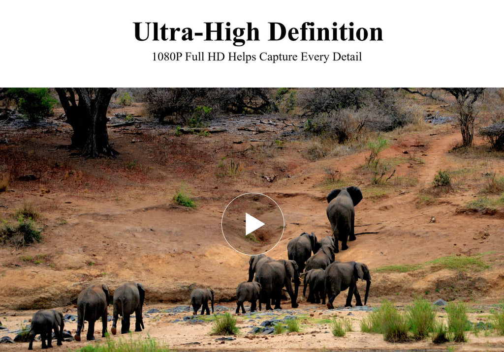 24MP Hunting Trail Camera HD Photo & 1080p Video IP66 Outdoor Wildlife 0.4s PIR Detection