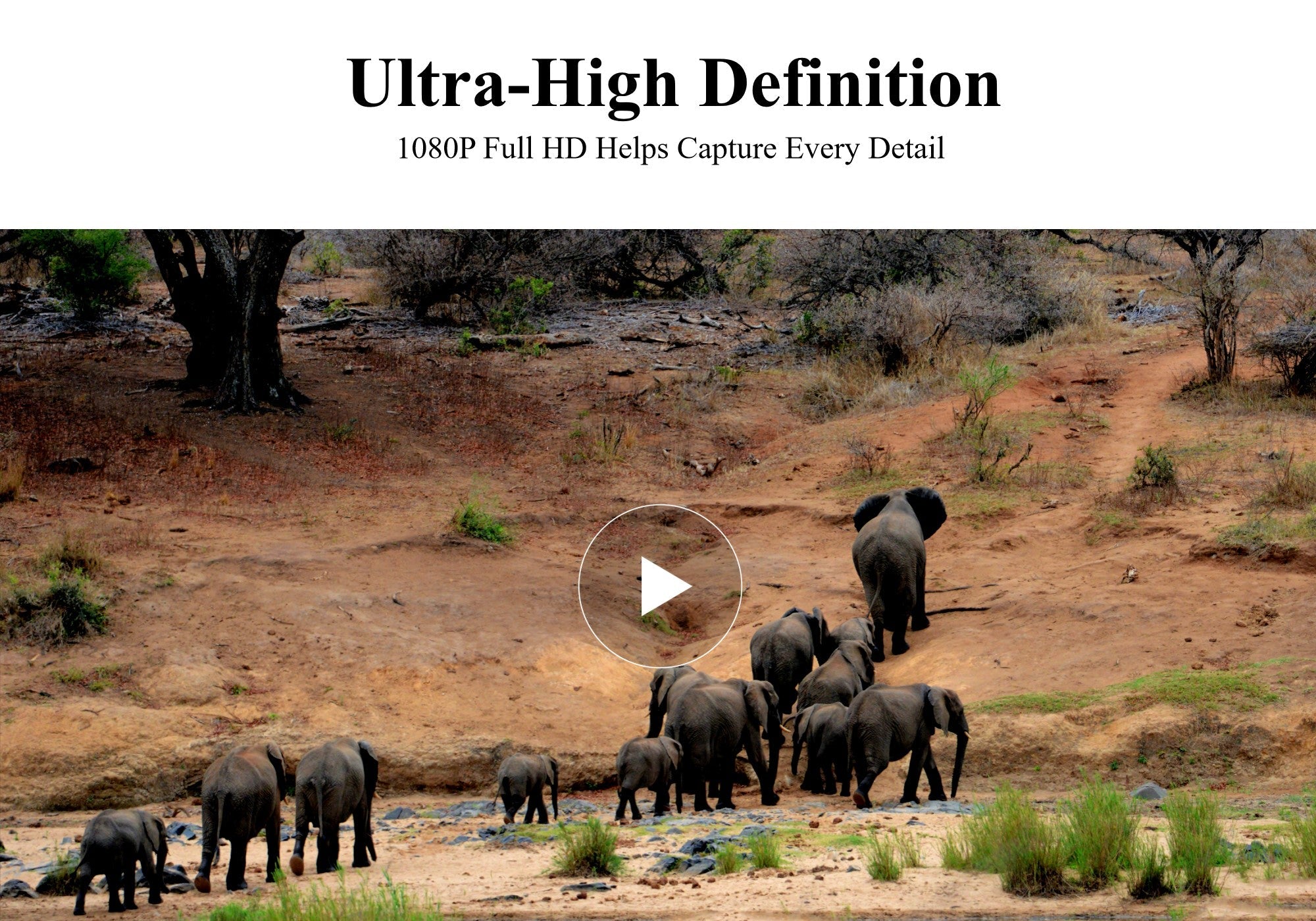 24MP Hunting Trail Camera HD Photo & 1080p Video IP66 Outdoor Wildlife 0.4s PIR Detection