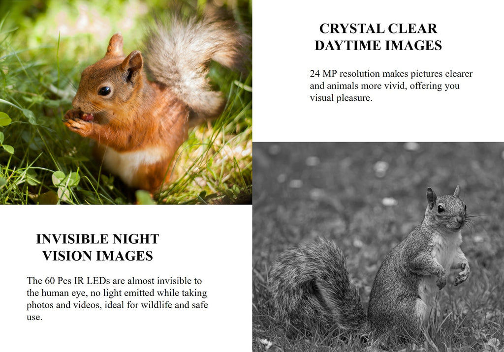 24MP Hunting Trail Camera HD Photo & 1080p Video IP66 Outdoor Wildlife 0.4s PIR Detection