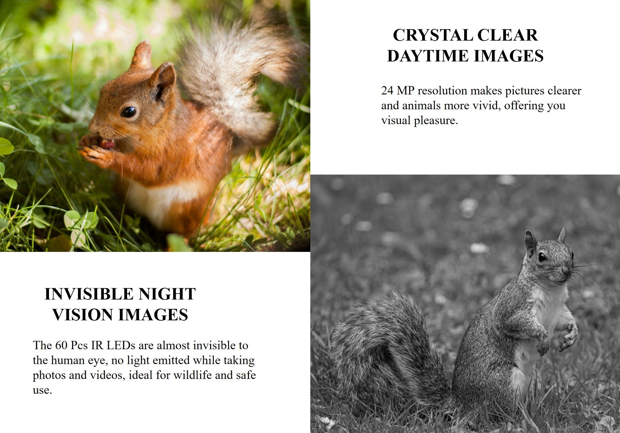 24MP Hunting Trail Camera HD Photo & 1080p Video IP66 Outdoor Wildlife 0.4s PIR Detection