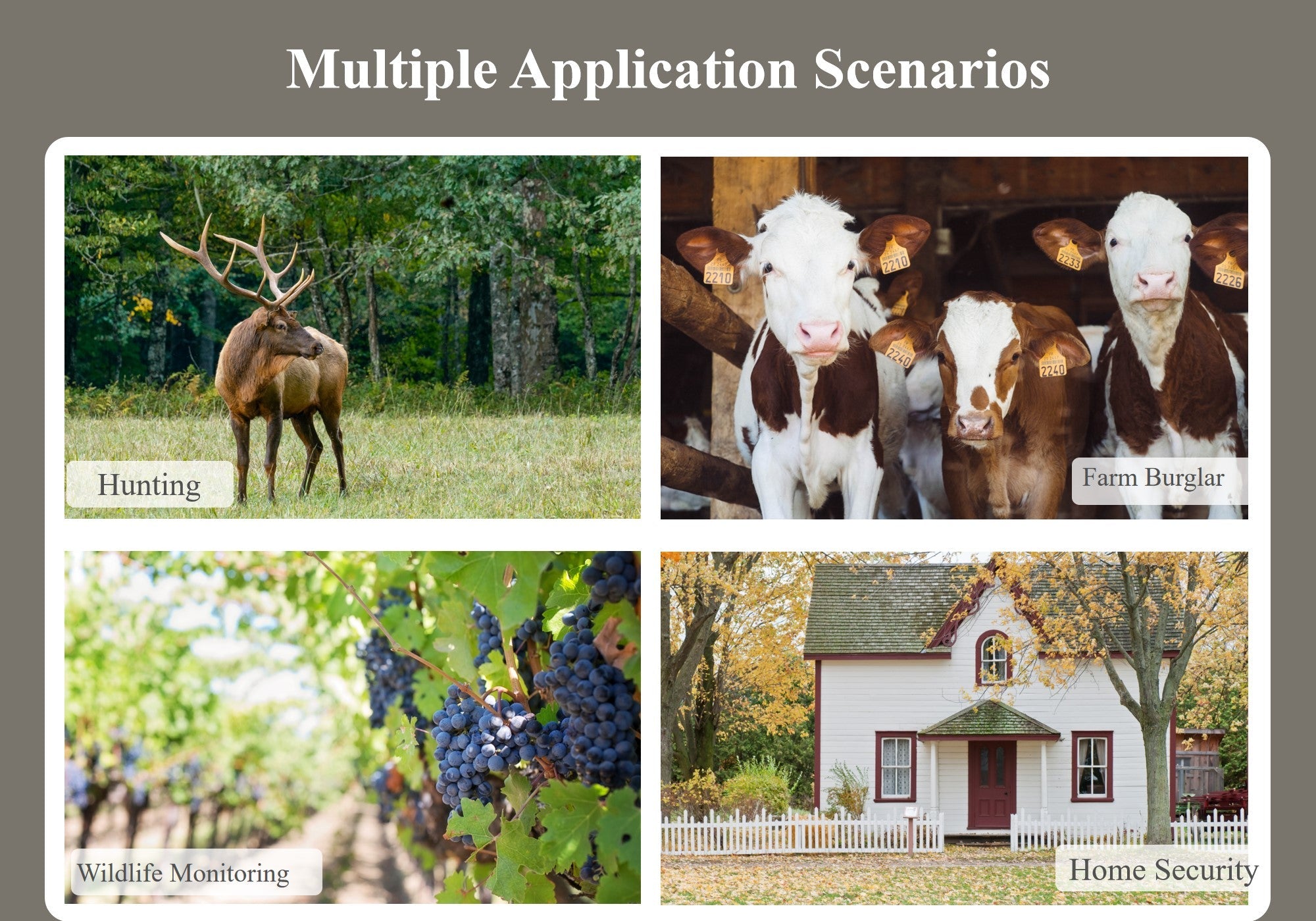 24MP Hunting Trail Camera HD Photo & 1080p Video IP66 Outdoor Wildlife 0.4s PIR Detection