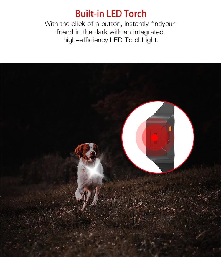 Pet Dog GPS Tracker in Neck Collar 4G LTE 14 Day Battery GEO Fence Alarm Notification Waterproof