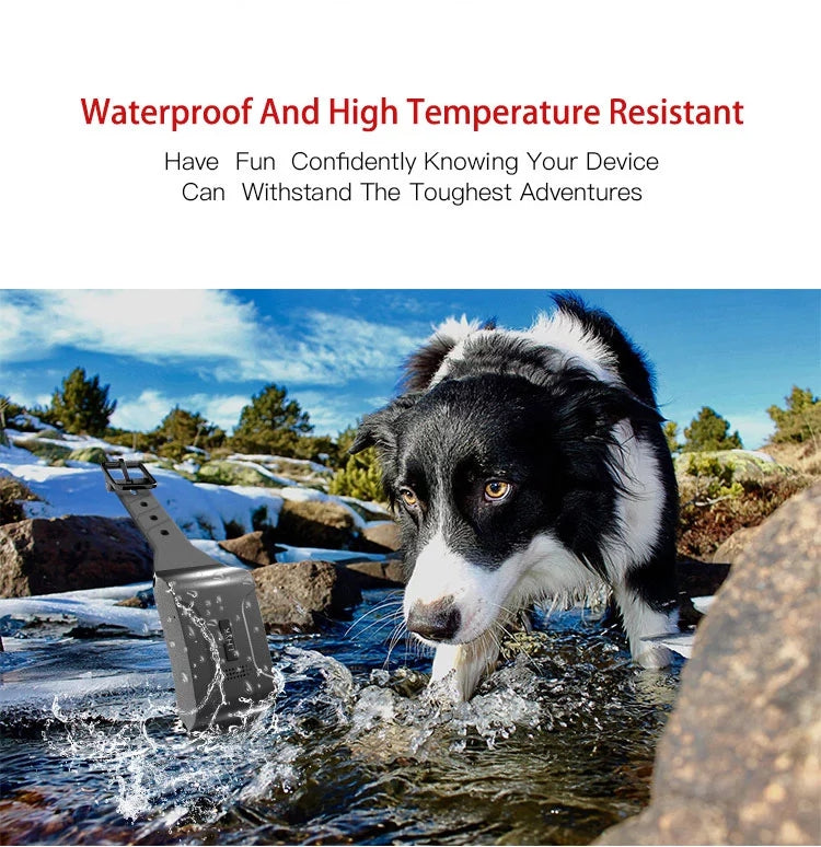 Pet Dog GPS Tracker in Neck Collar 4G LTE 14 Day Battery GEO Fence Alarm Notification Waterproof