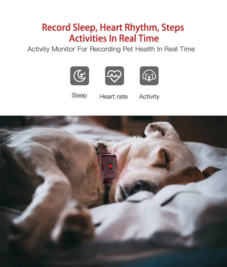 Pet Dog GPS Tracker in Neck Collar 4G LTE 14 Day Battery GEO Fence Alarm Notification Waterproof