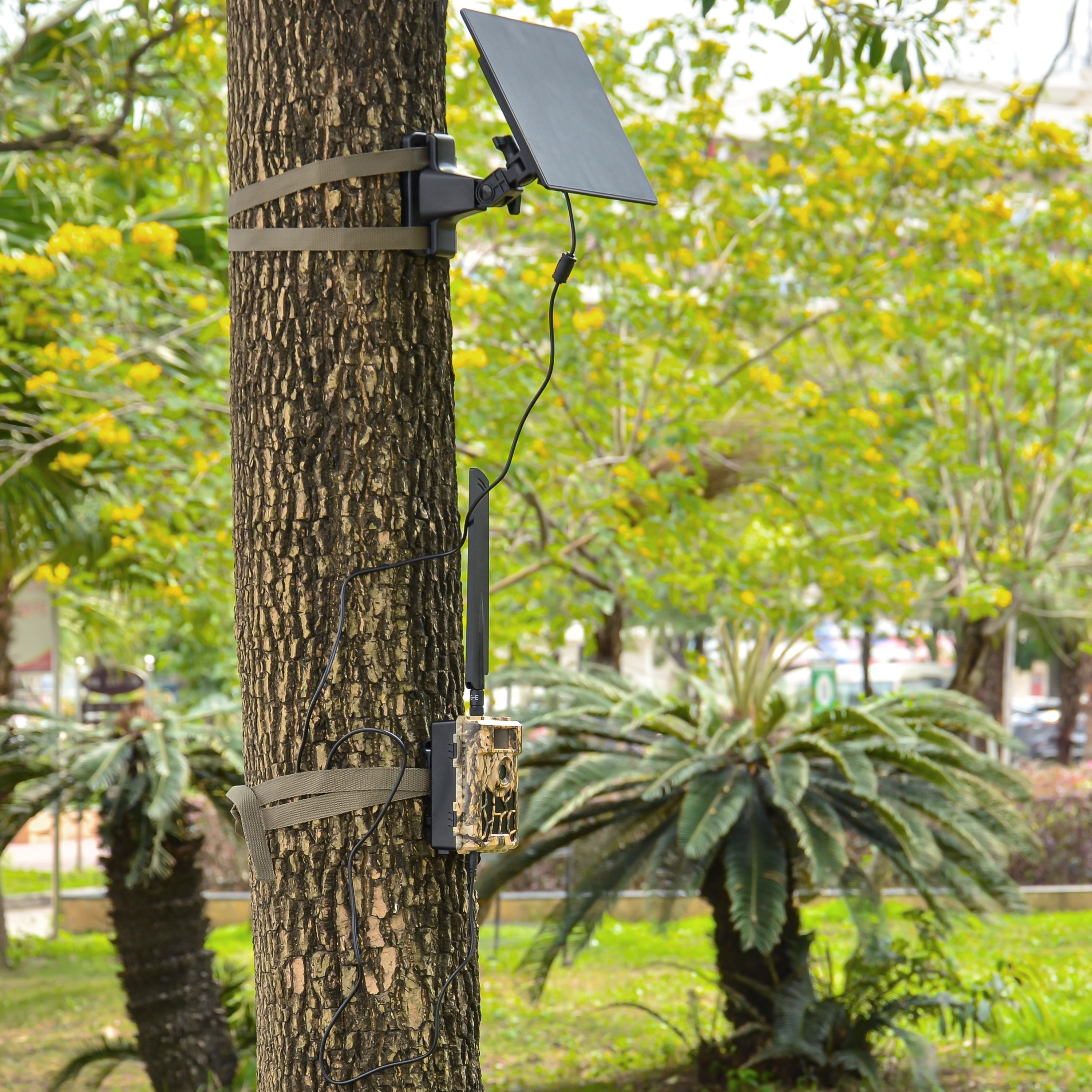 SP200 12V Battery 5W Solar Panel Charger 2x 5000mAh Rechargeable Li-ion Dual 6v/12v Output