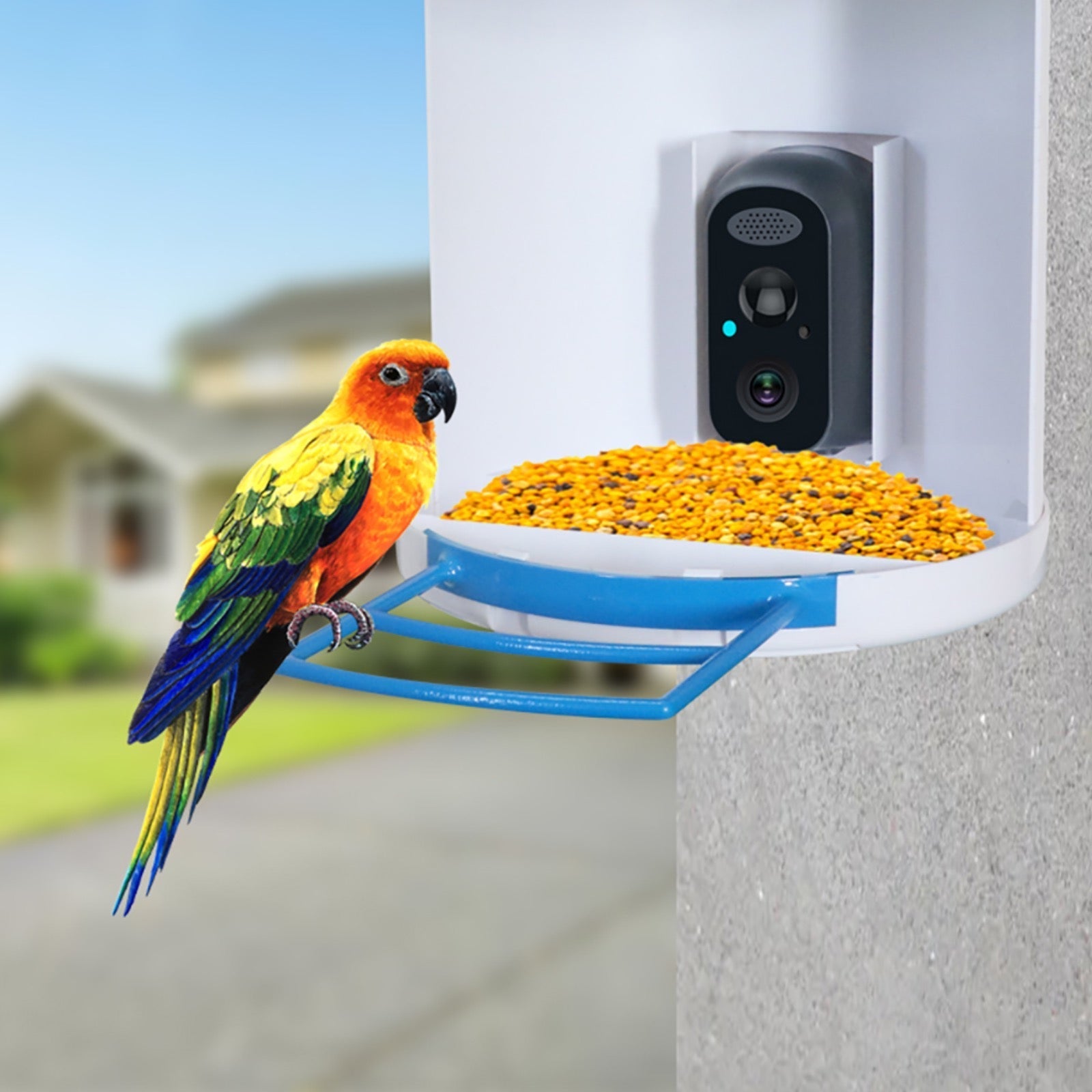 Bird Feeder Camera 4G LTE Sim Card 1080p HD Battery Solar Power No Wiring Needed